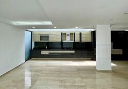 Cairnhill Road (D9), Terrace #499805391